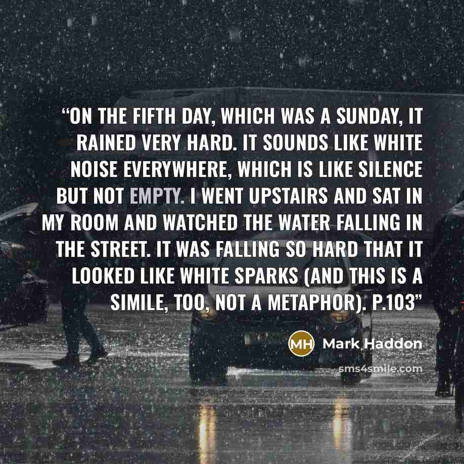 “On the fifth day, which was a Sunday, It rained very hard. It sounds like white noise everywhere, which is like silence but not empty. I went upstairs and sat in my room and watched the water falling in the street. It was falling so hard that it looked like white sparks (and this is a simile, too…” quote by Mark Haddon