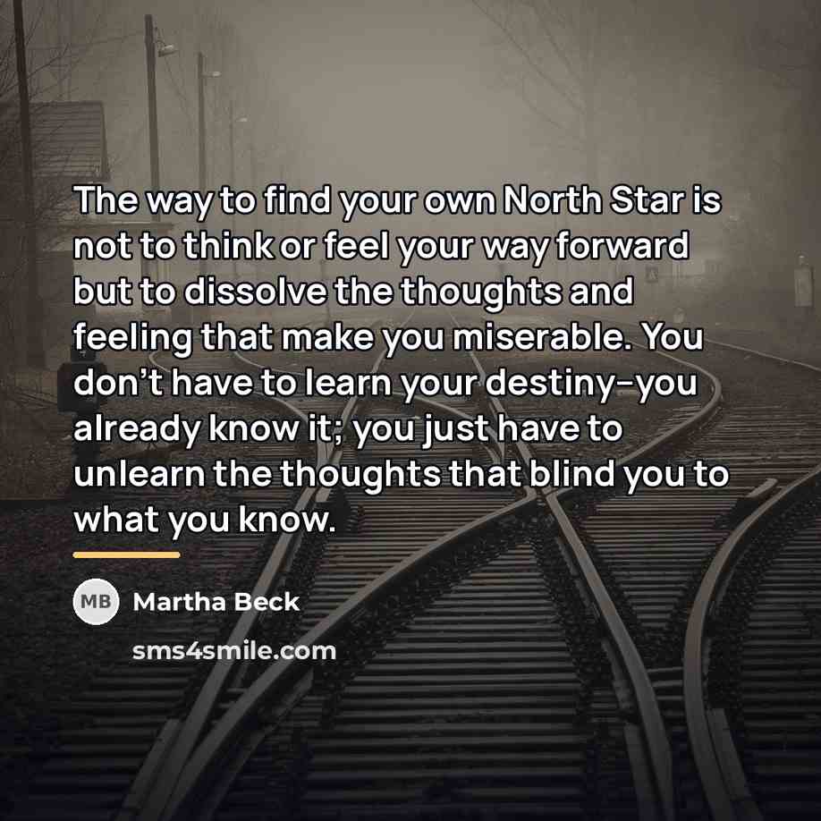 “The way to find your own North Star is not…” quote by Martha Beck