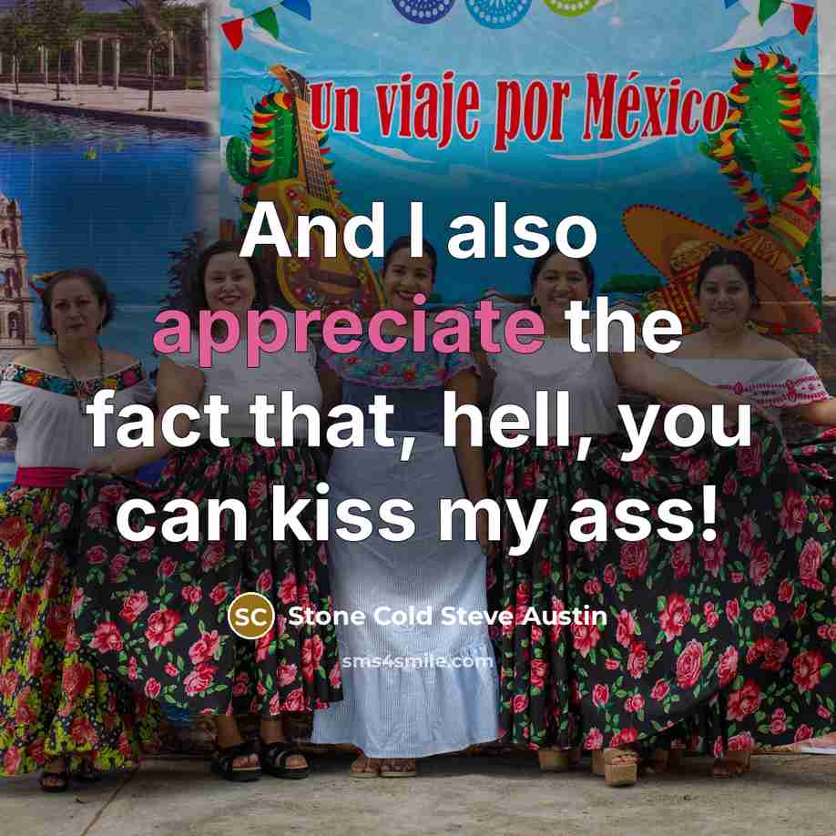 “And I also appreciate the fact that, hell, you can…” quote by Stone Cold Steve Austin
