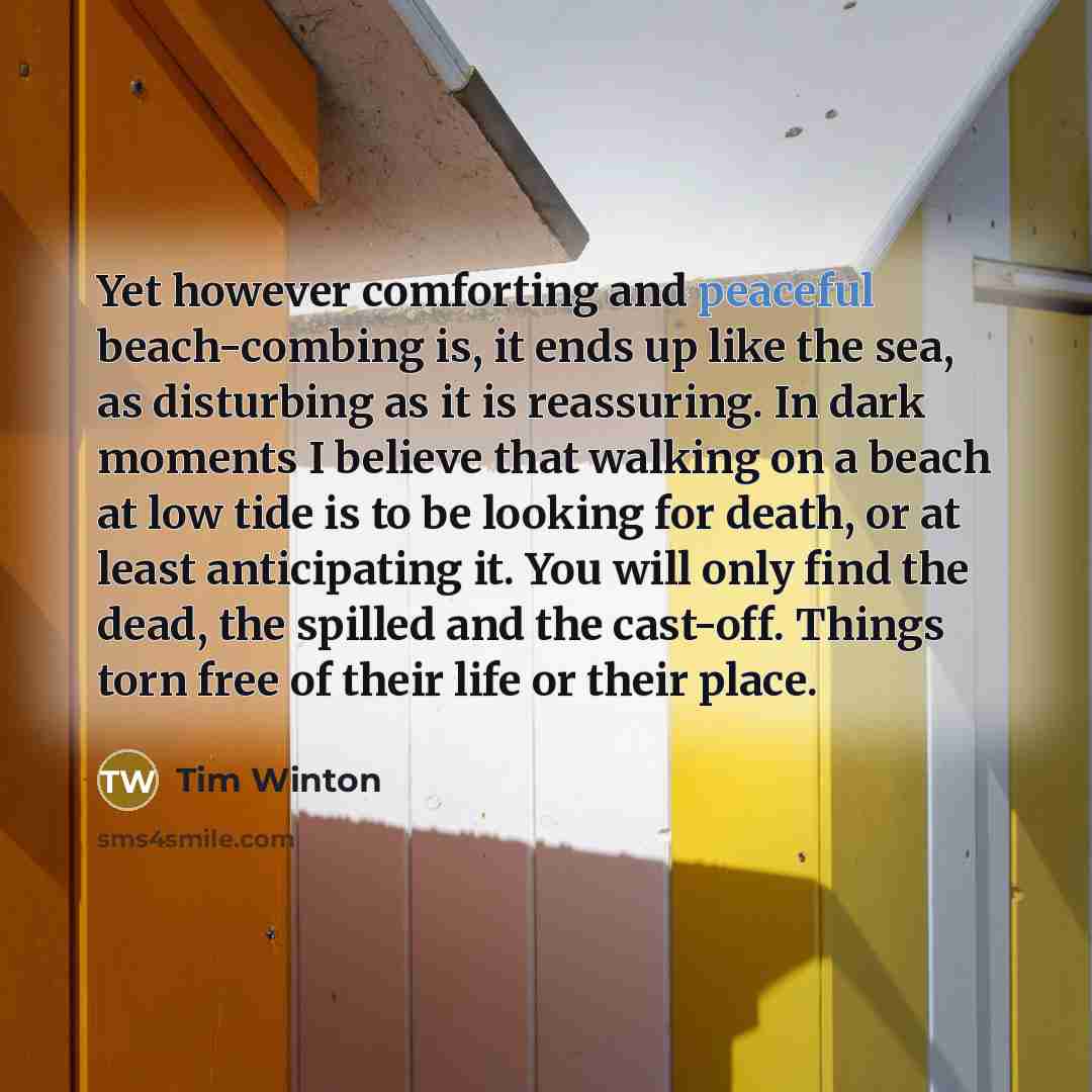 “Yet however comforting and peaceful beach-combing is, it ends up…” quote by Tim Winton
