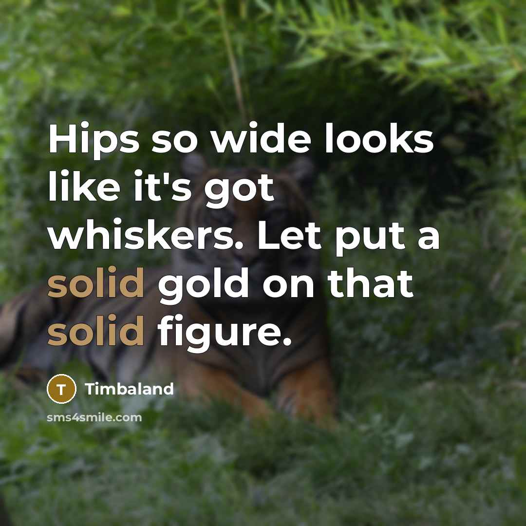 “Hips so wide looks like it's got whiskers. Let put a solid gold on that solid figure.” quote by Timbaland