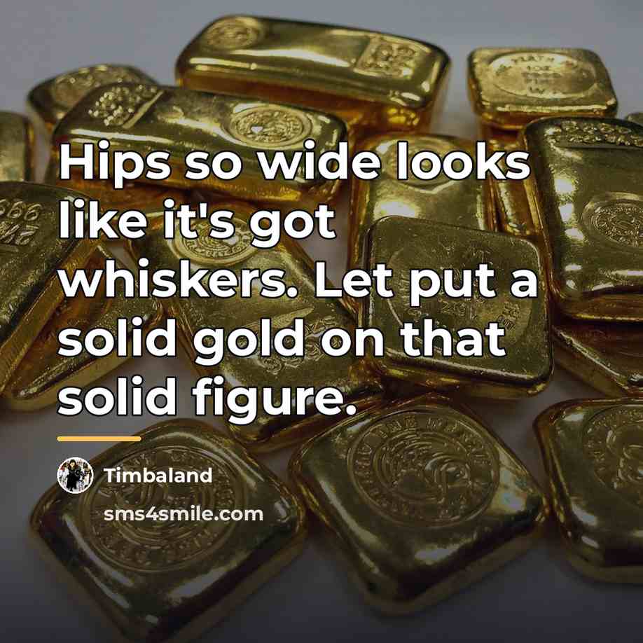 “Hips so wide looks like it's got whiskers. Let put…” quote by Timbaland
