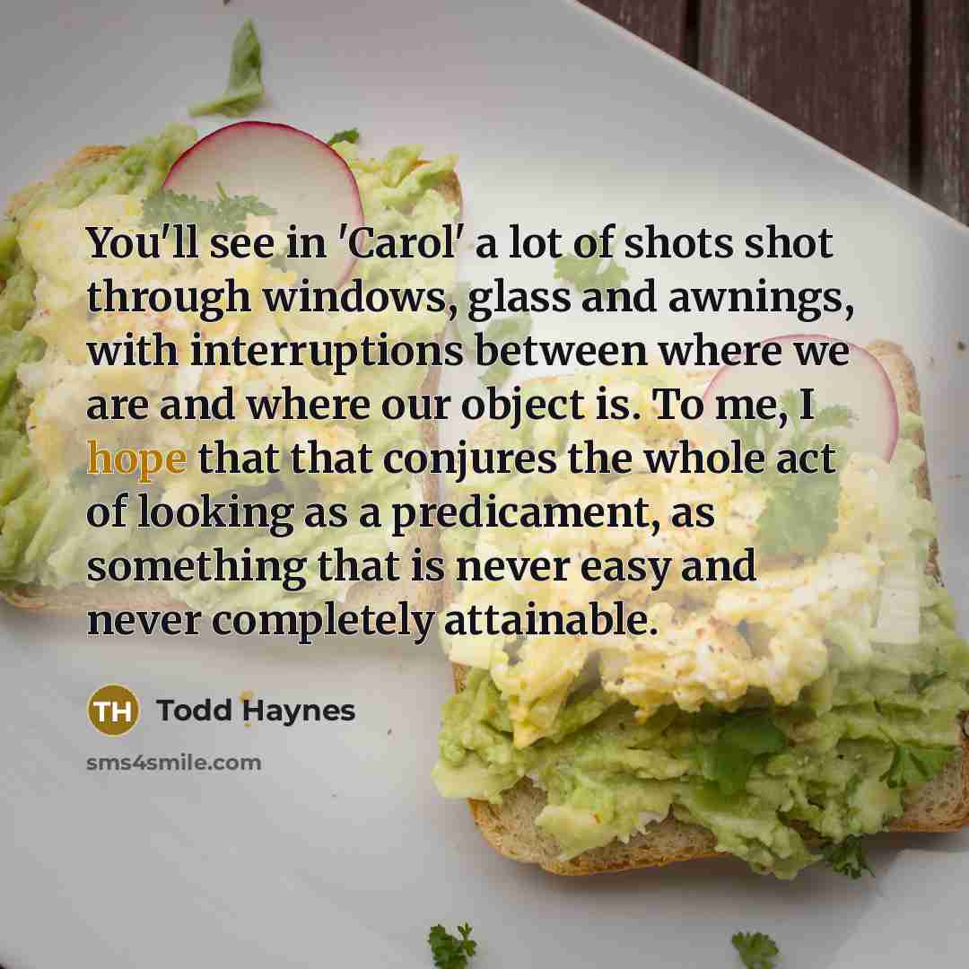 “You'll see in 'Carol' a lot of shots shot through…” quote by Todd Haynes