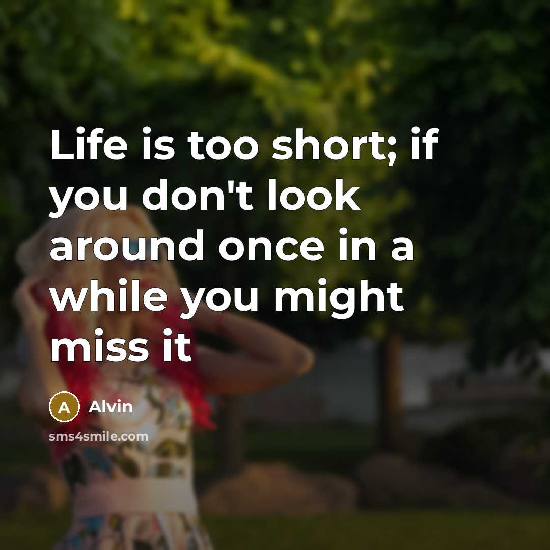 “Life is too short; if you don't look around once…” quote by Alvin