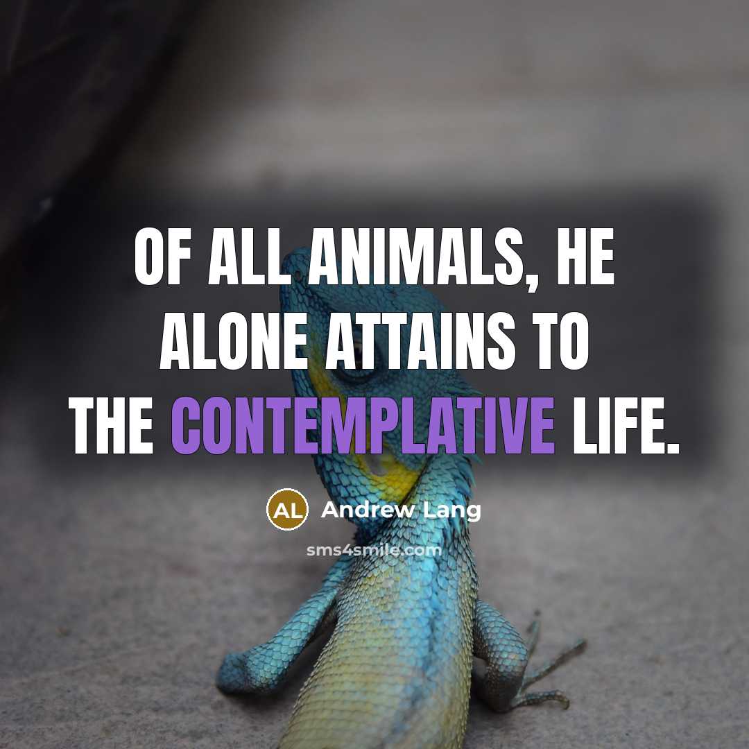 “Of all animals, he alone attains to the Contemplative Life.…” quote by Andrew Lang