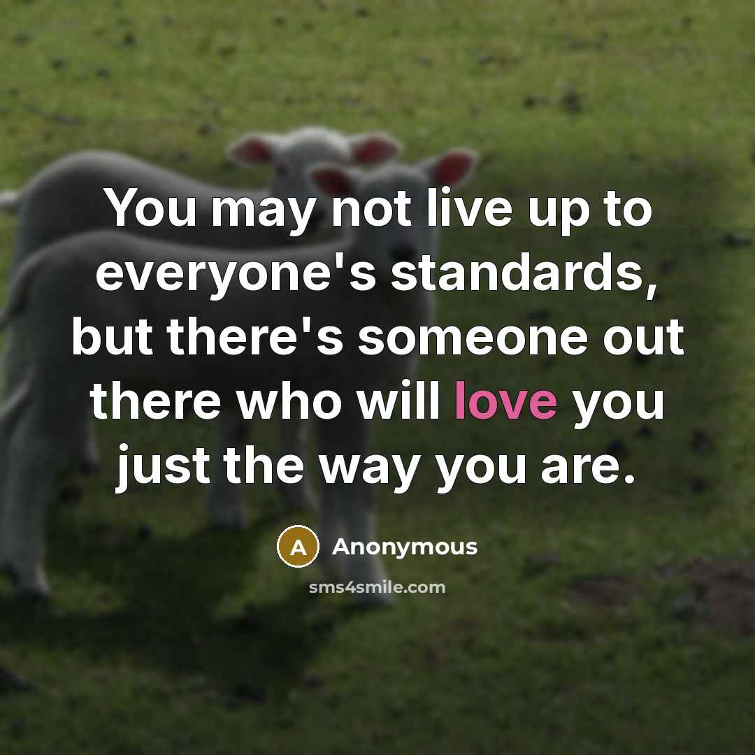 “You may not live up to everyone's standards, but there's…” quote by Anonymous