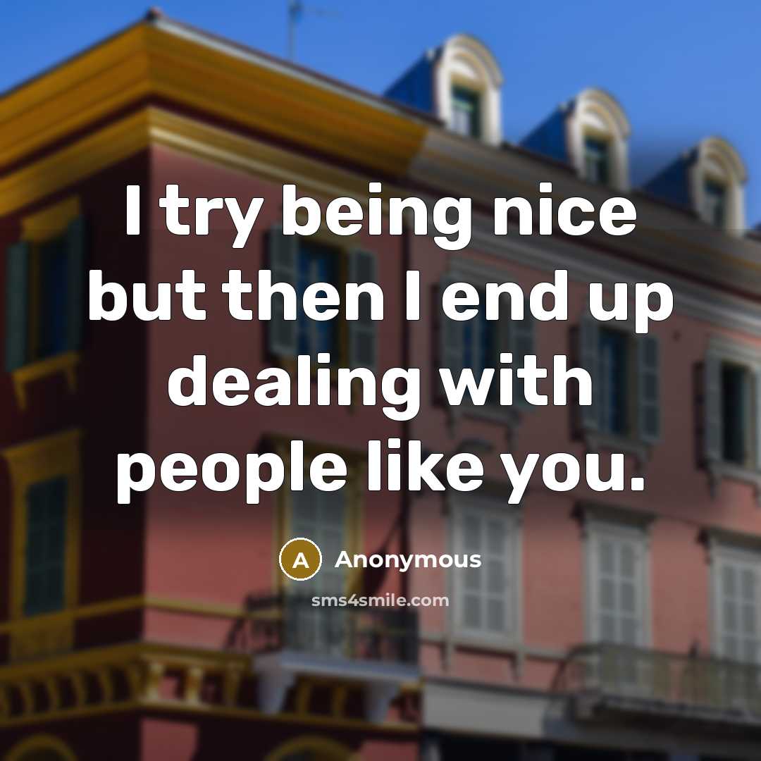 “I try being nice but then I end up dealing…” quote by Anonymous