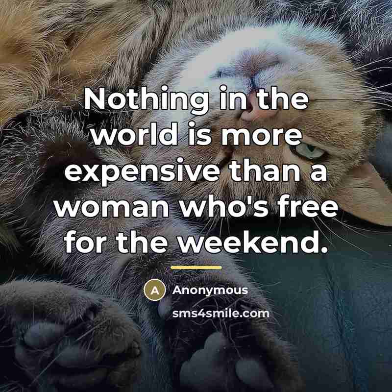 “Nothing in the world is more expensive than a woman…” quote by Anonymous