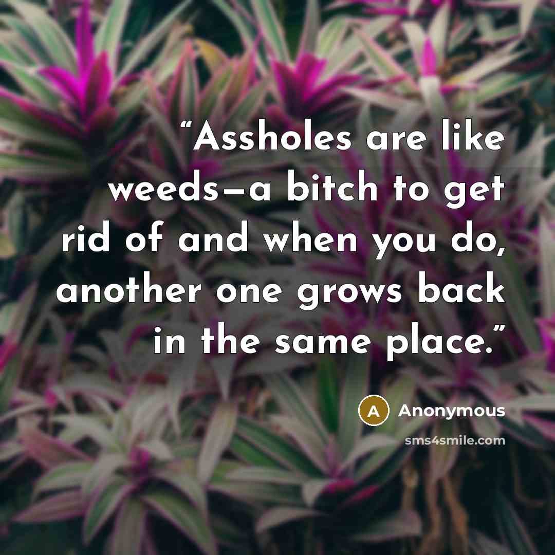 “Assholes are like weeds—a bitch to get rid of and when you do, another one grows back in the same place.” quote by Anonymous