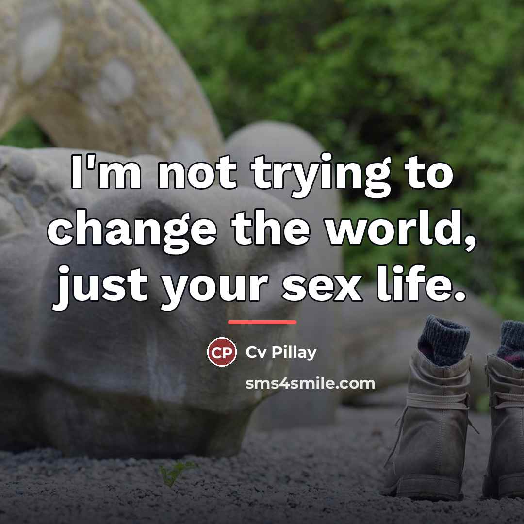 “I'm not trying to change the world, just your sex…” quote by Cv Pillay
