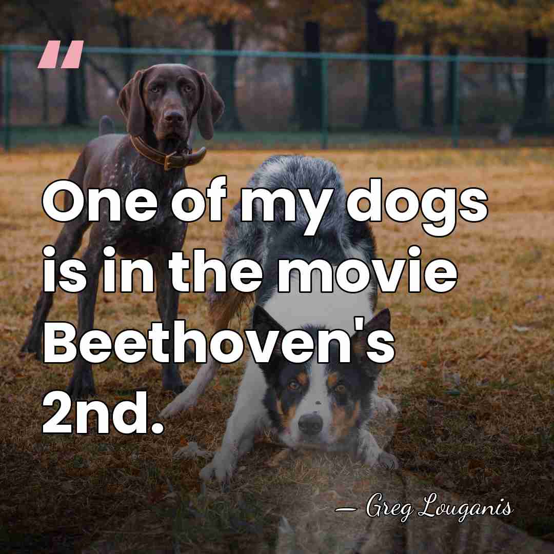 One of my dogs is in the movie Beethoven's 2nd. - Greg Louganis