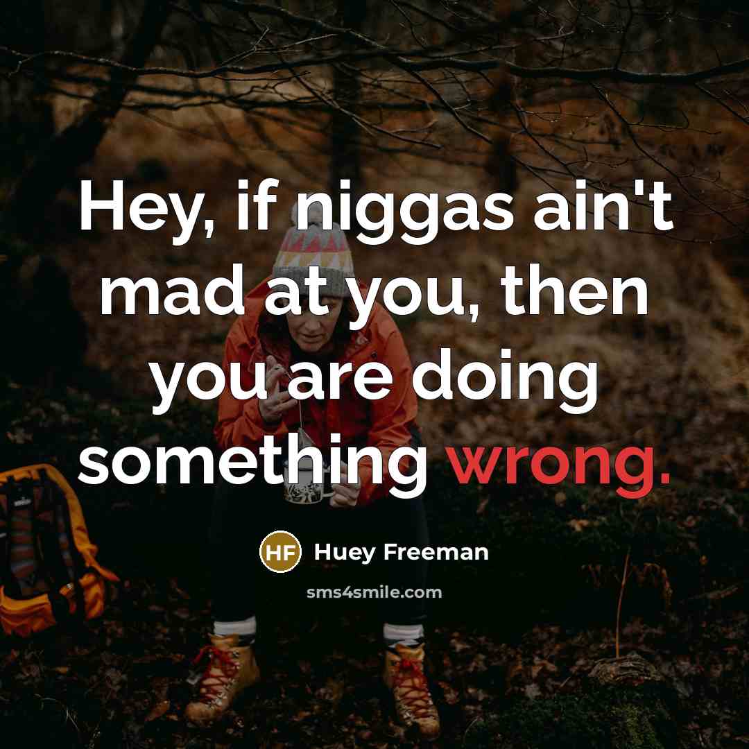 “Hey, if niggas ain't mad at you, then you are…” quote by Huey Freeman
