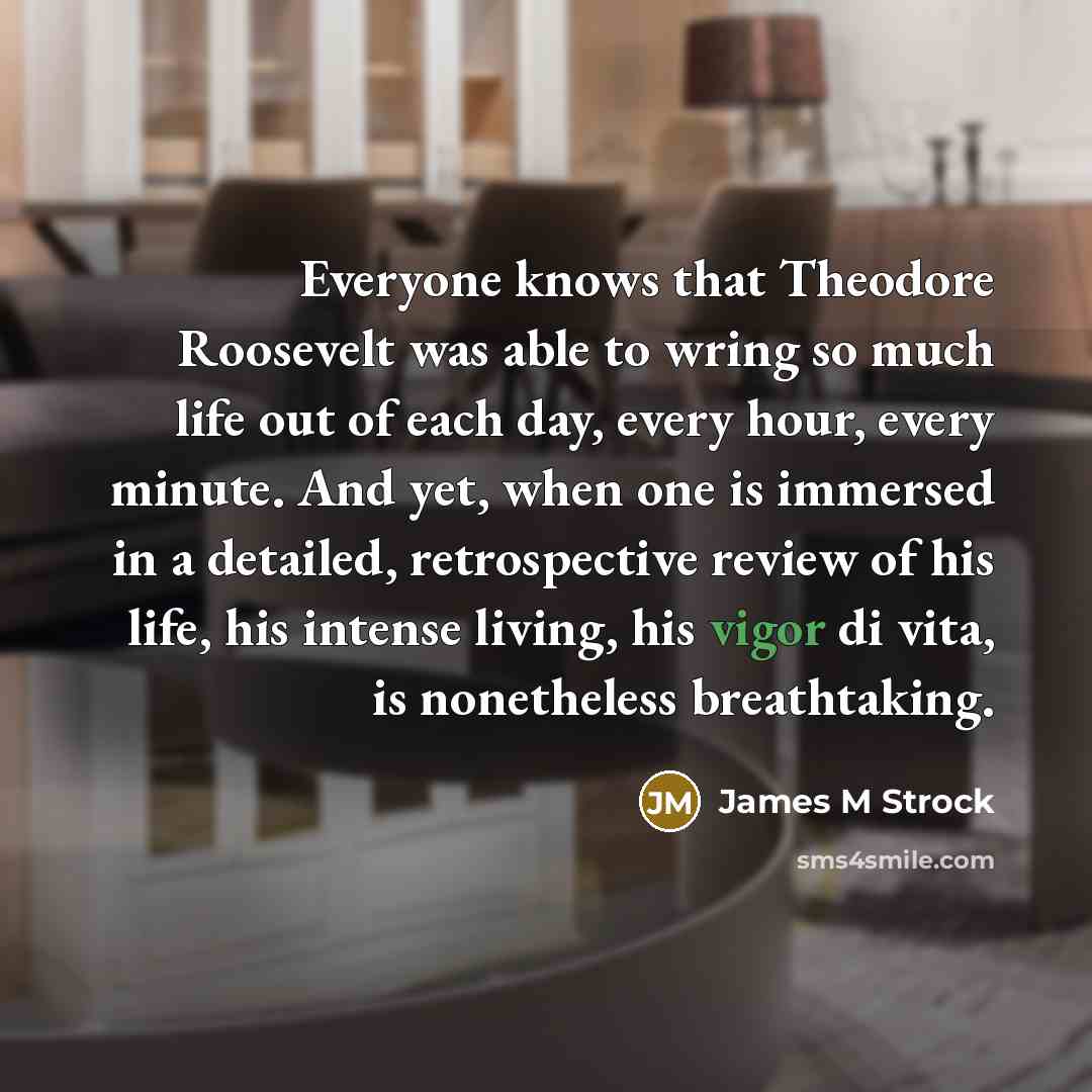 “Everyone knows that Theodore Roosevelt was able to wring so…” quote by James M Strock