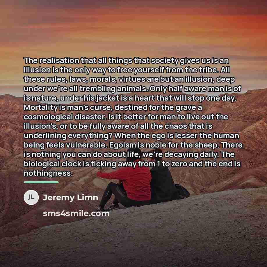 “The realisation that all things that society gives us is…” quote by Jeremy Limn