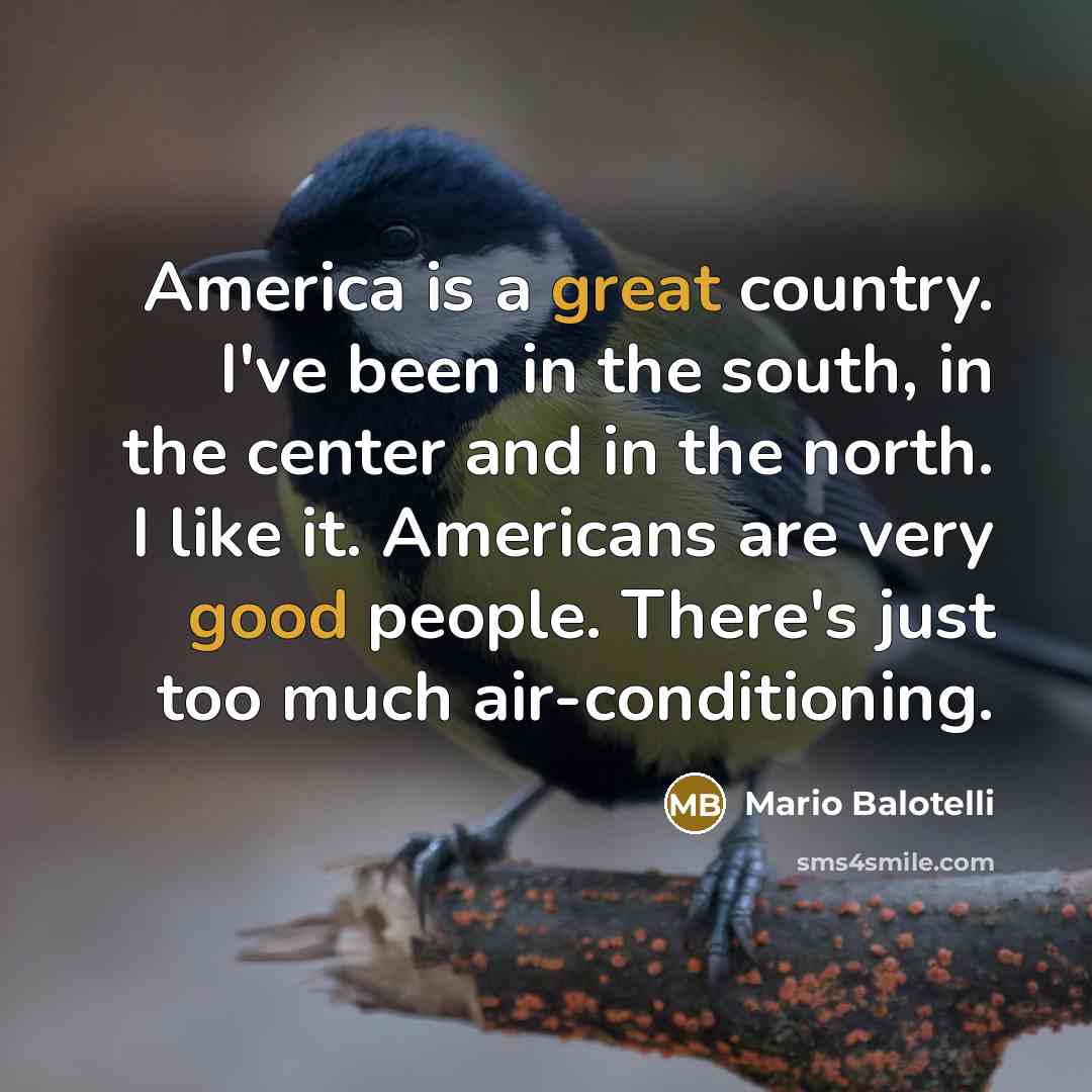 “America is a great country. I've been in the south,…” quote by Mario Balotelli
