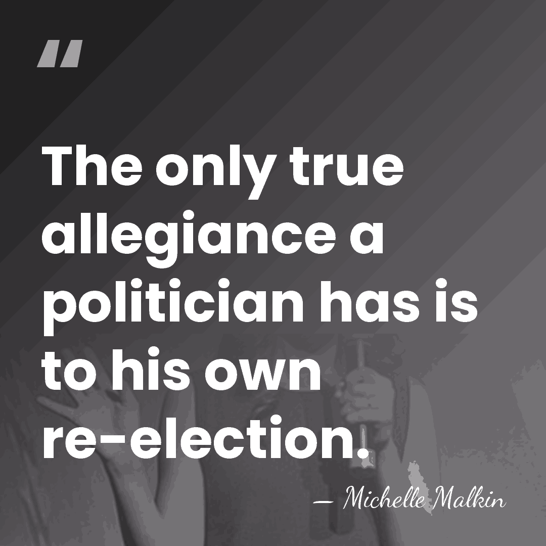 The only true allegiance a politician has is to his own re-election. - Michelle Malkin