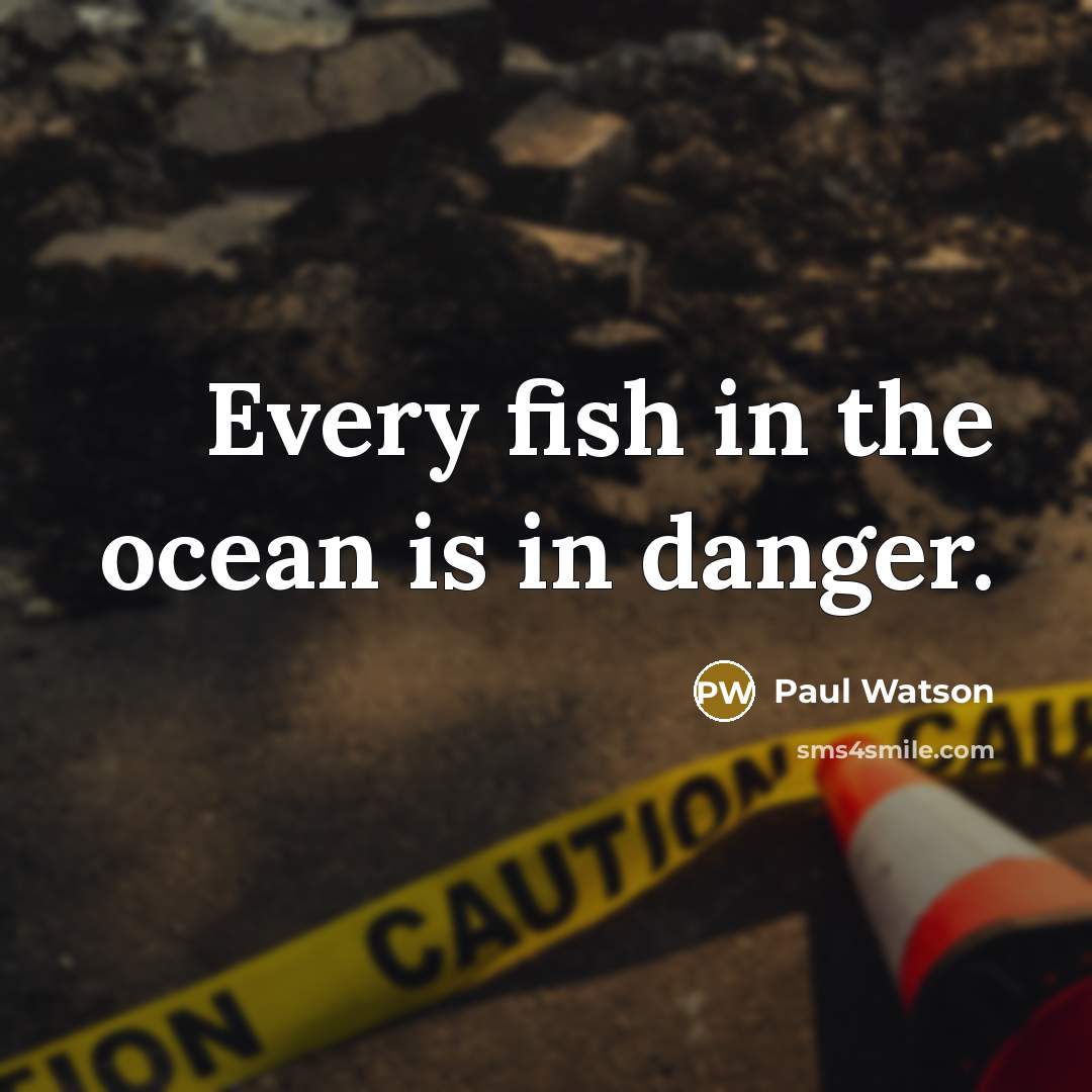 “Every fish in the ocean is in danger.…” quote by Paul Watson