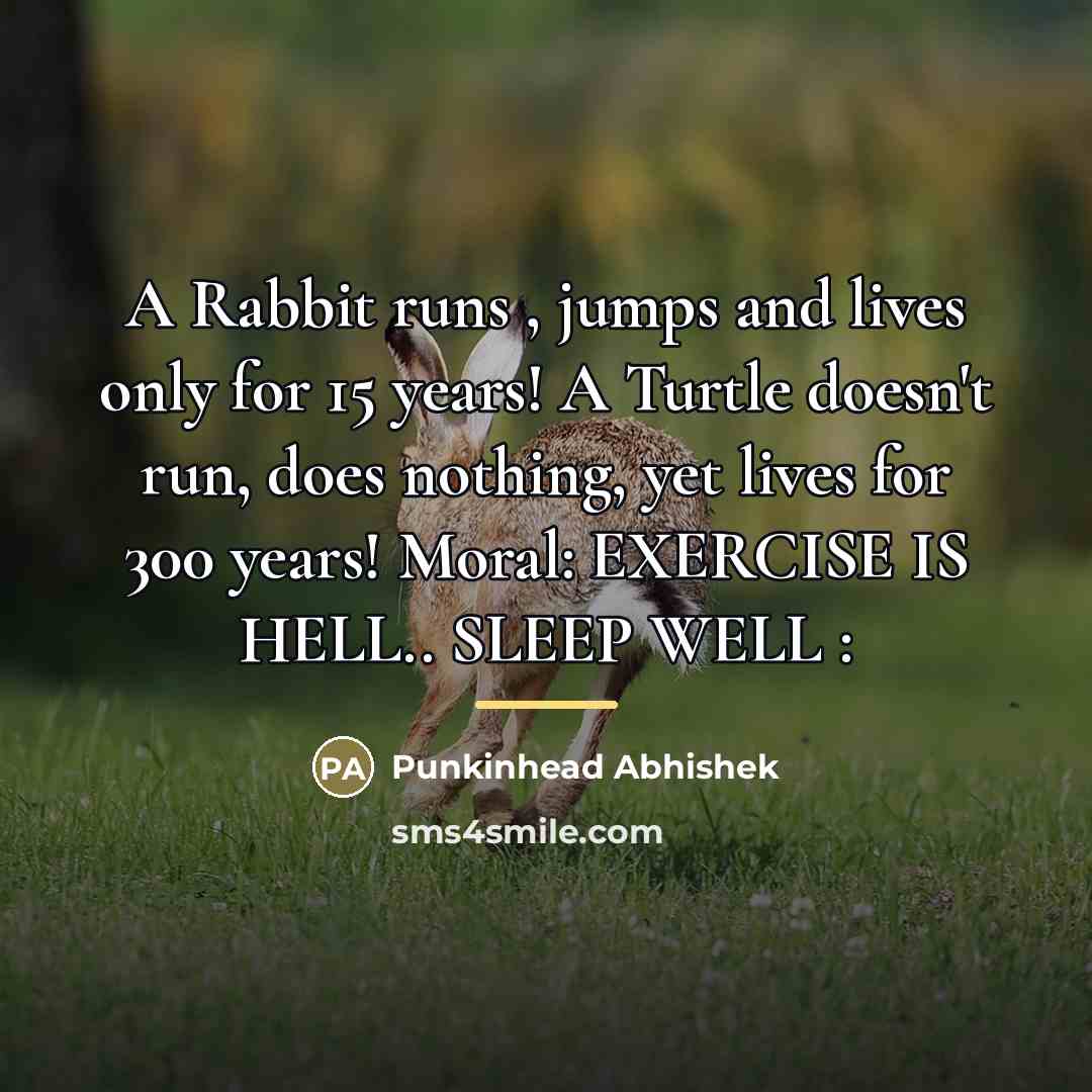 “A Rabbit runs , jumps and lives only for 15…” quote by Punkinhead Abhishek