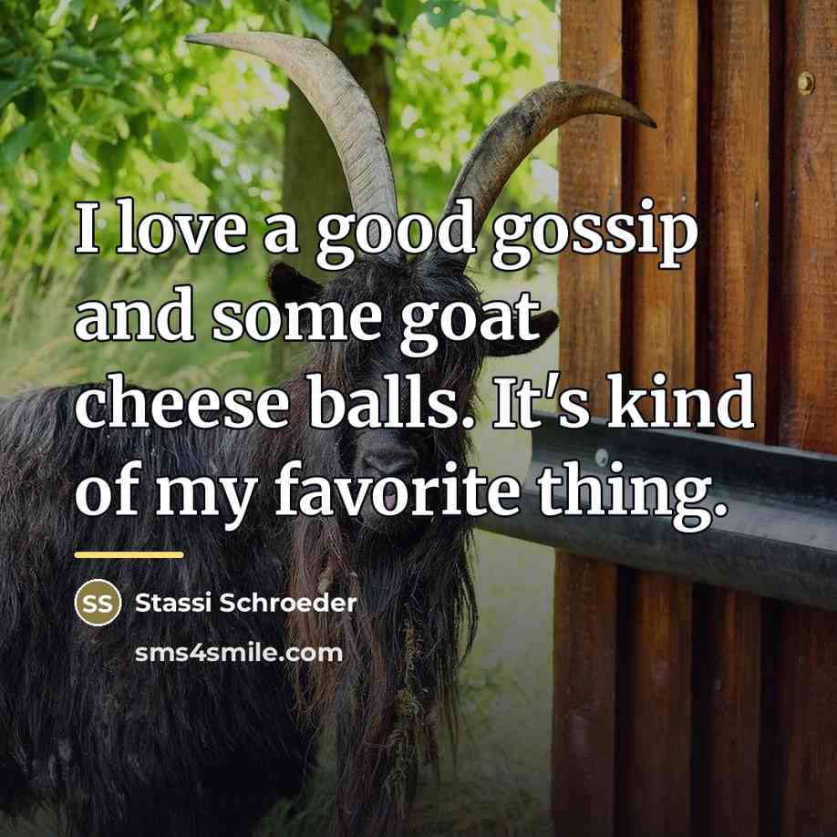 “I love a good gossip and some goat cheese balls.…” quote by Stassi Schroeder