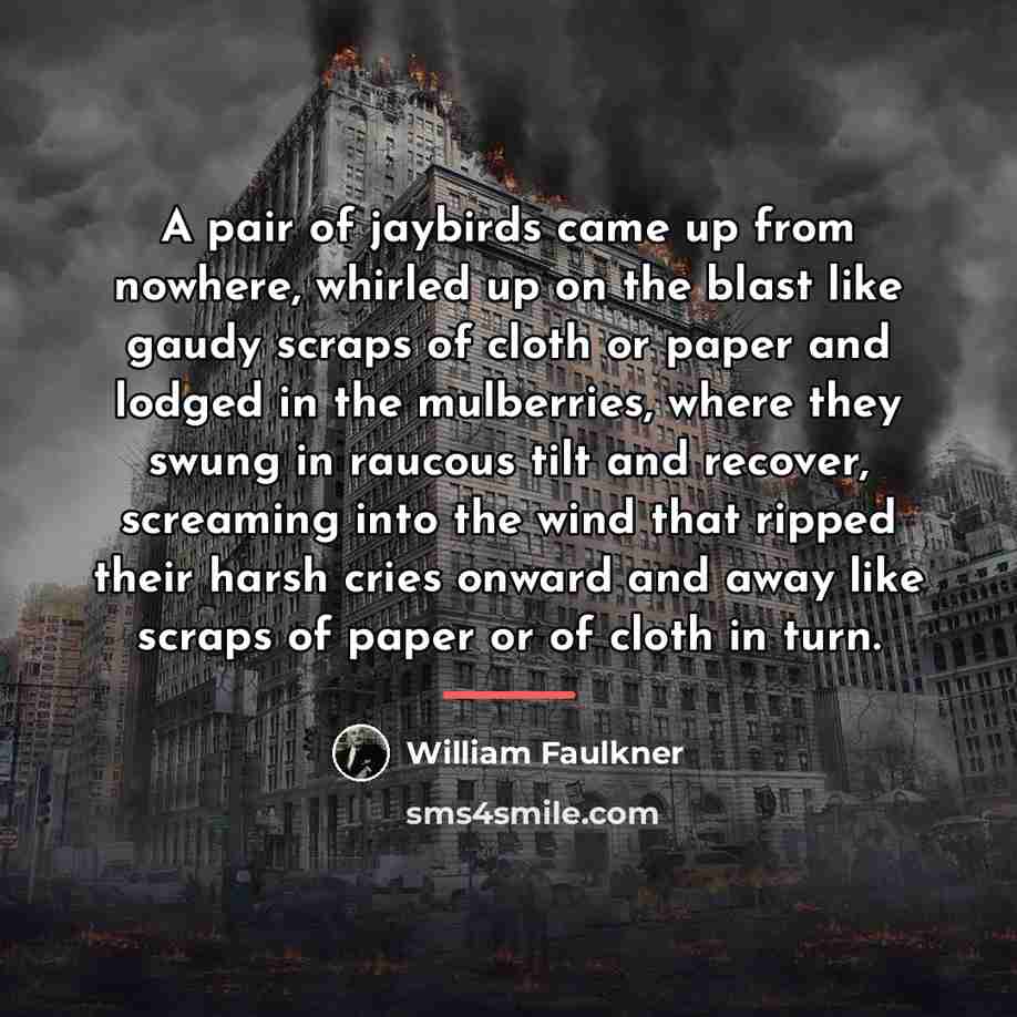 “A pair of jaybirds came up from nowhere, whirled up…” quote by William Faulkner