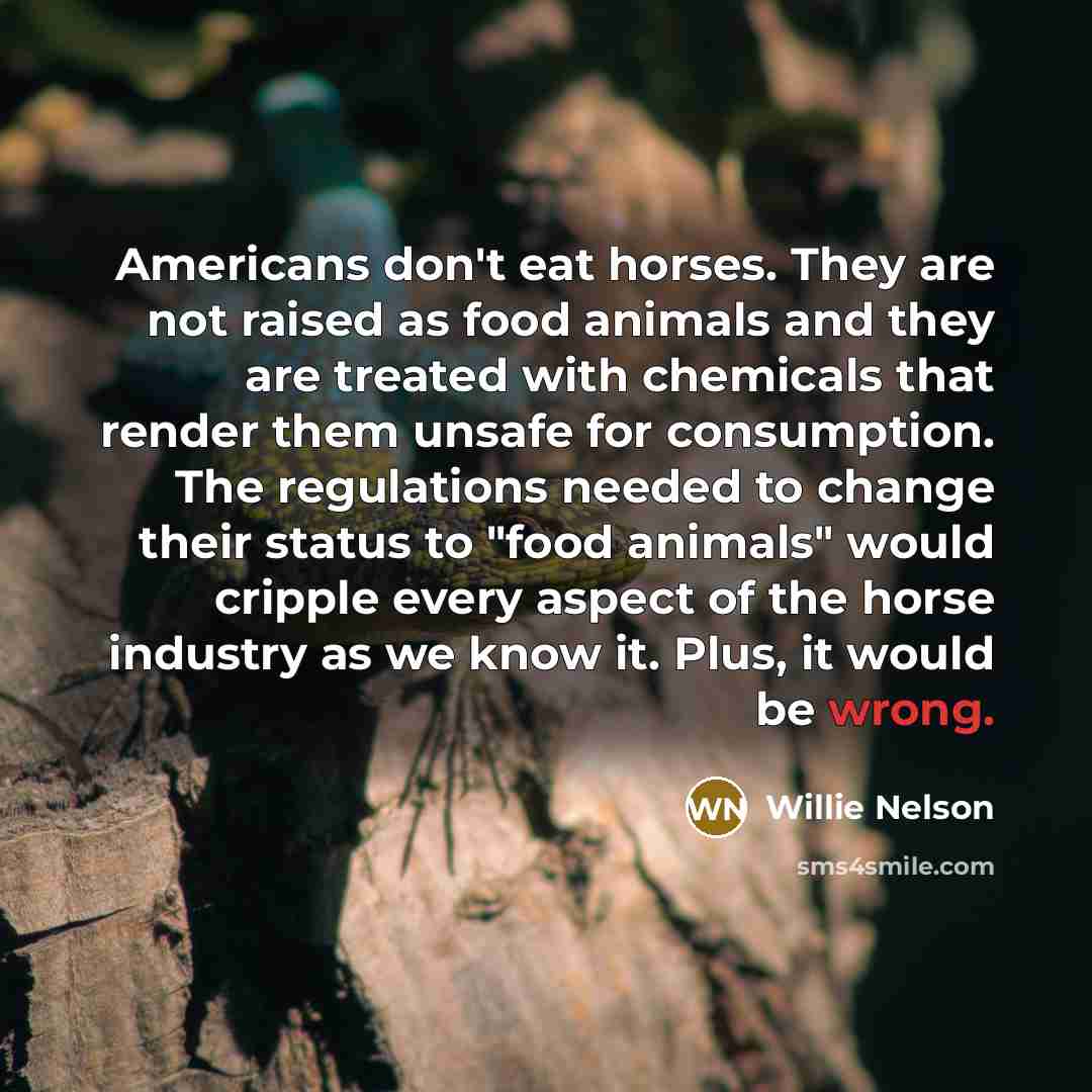 “Americans don't eat horses. They are not raised as food…” quote by Willie Nelson