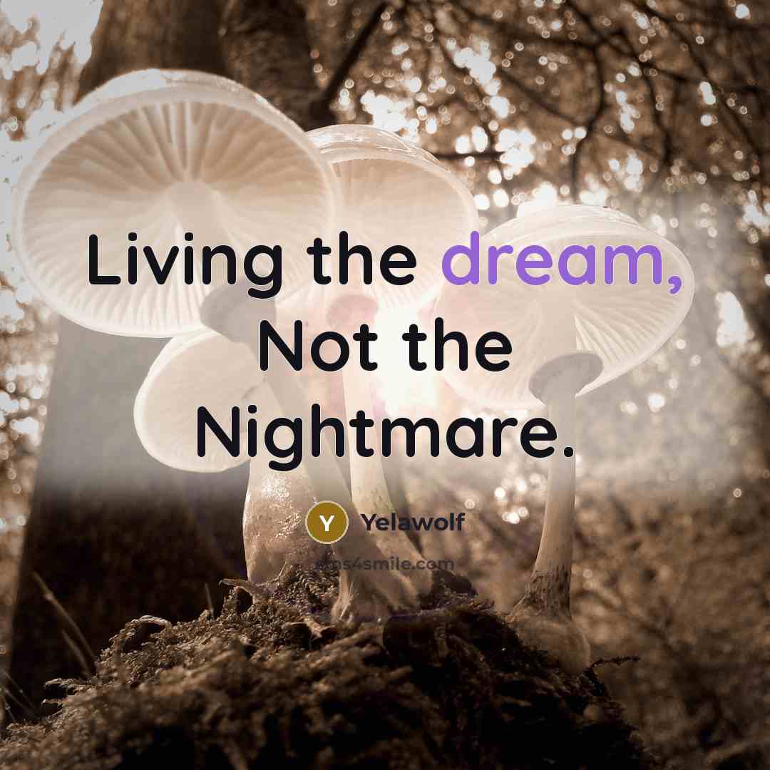 “Living the dream, Not the Nightmare.…” quote by Yelawolf