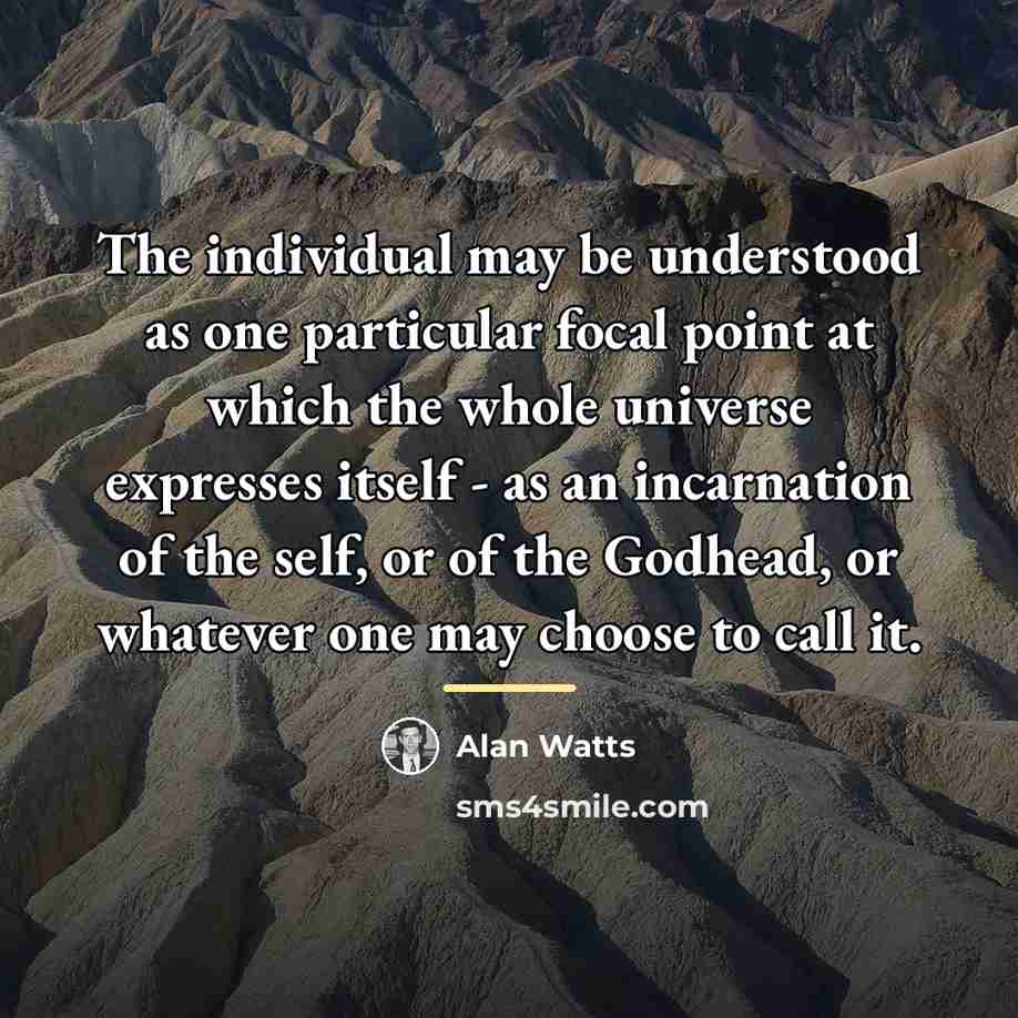 “The individual may be understood as one particular focal point…” quote by Alan Watts