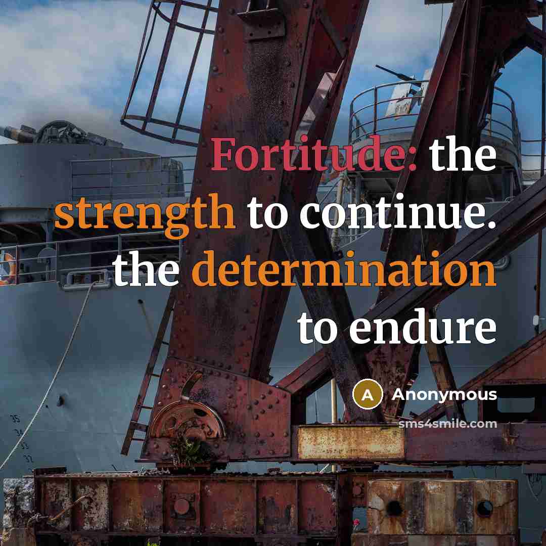 “Fortitude: the strength to continue. the determination to endure” quote by Anonymous