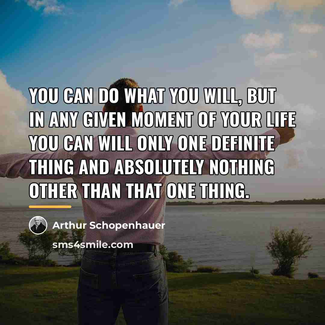 “You can do what you will, but in any given…” quote by Arthur Schopenhauer