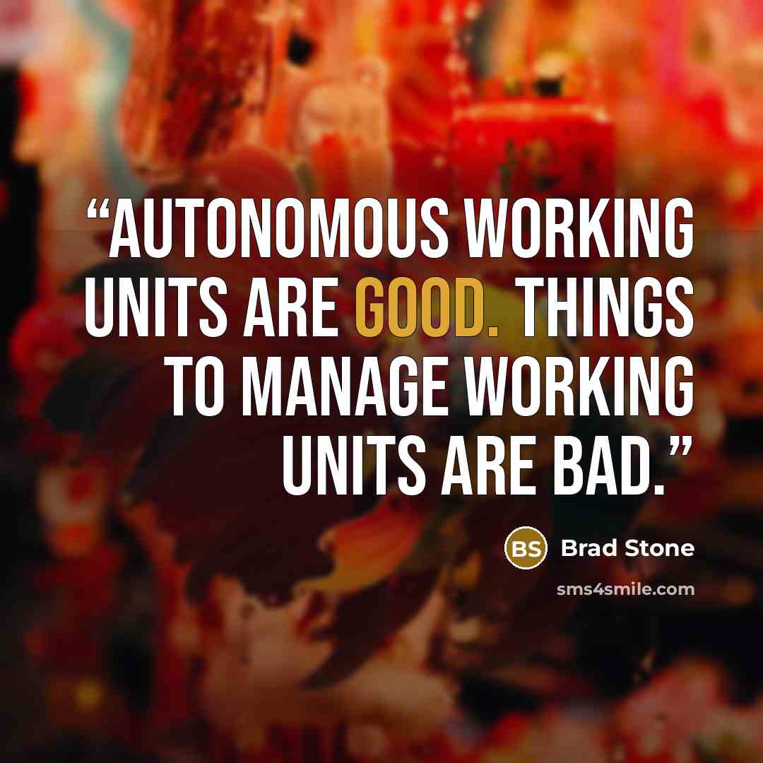 “Autonomous working units are good. Things to manage working units are bad.” quote by Brad Stone