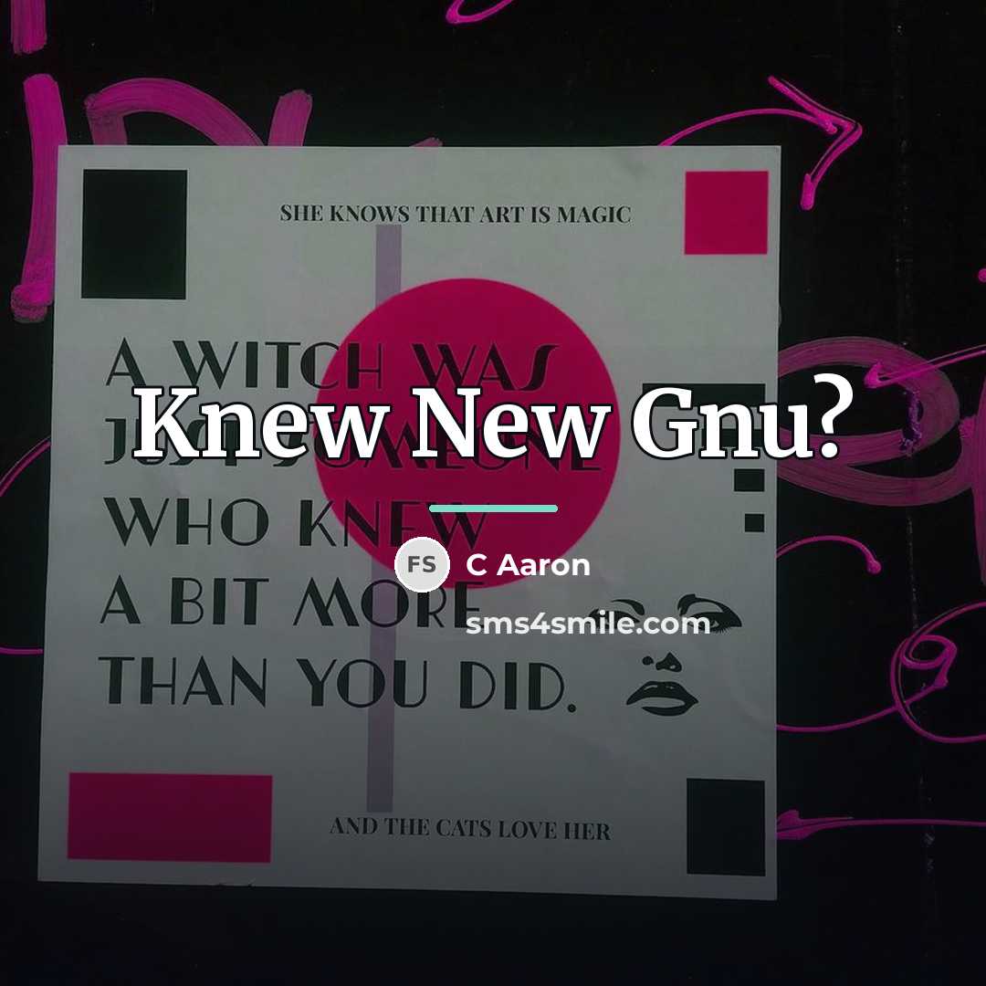 “Knew New Gnu?…” quote by C Aaron