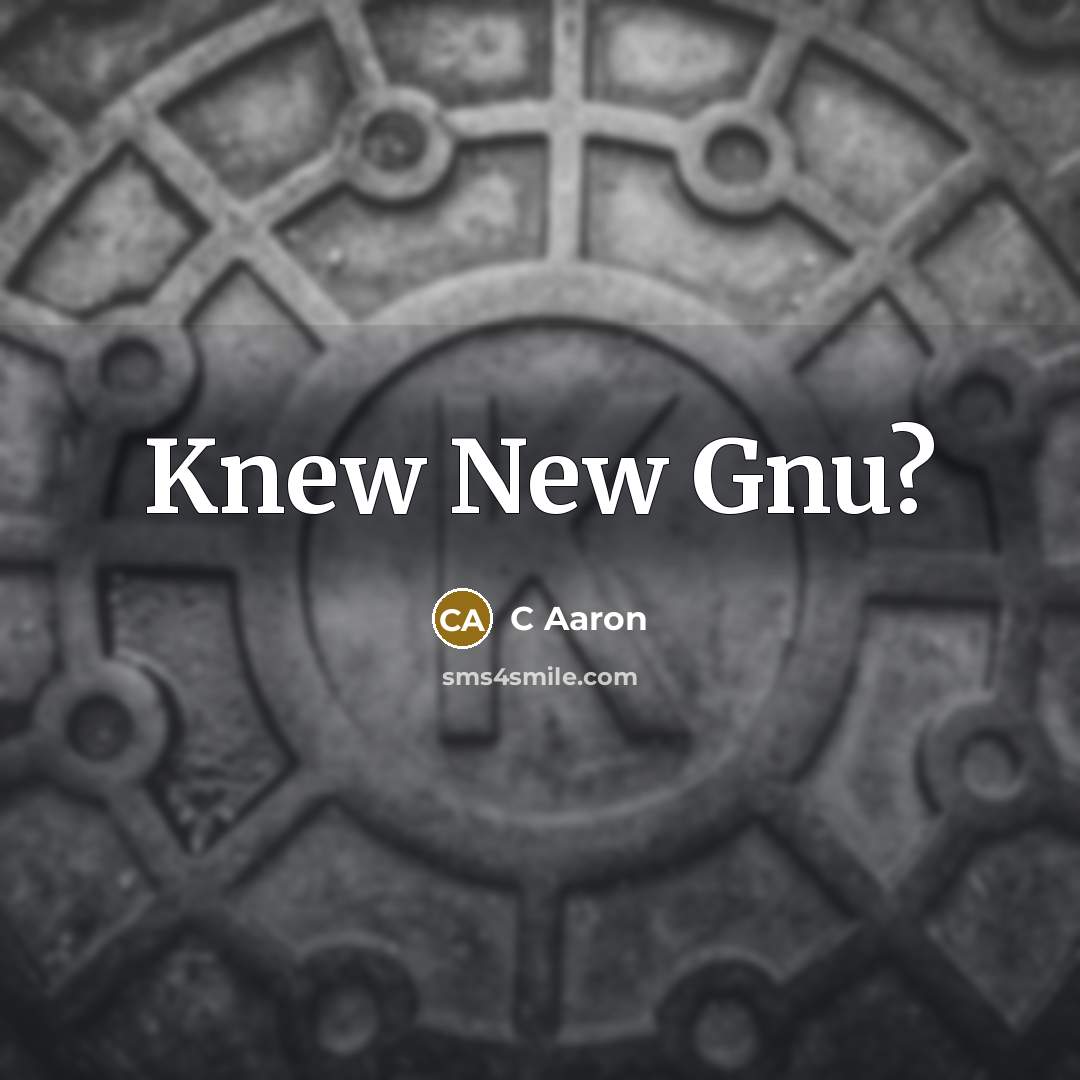 “Knew New Gnu?” quote by C Aaron