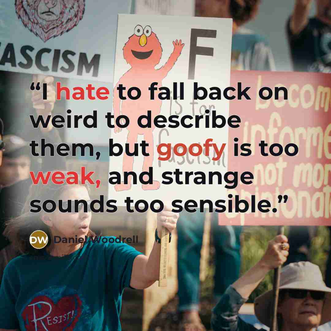 “I hate to fall back on weird to describe them, but goofy is too weak, and strange sounds too sensible.” quote by Daniel Woodrell