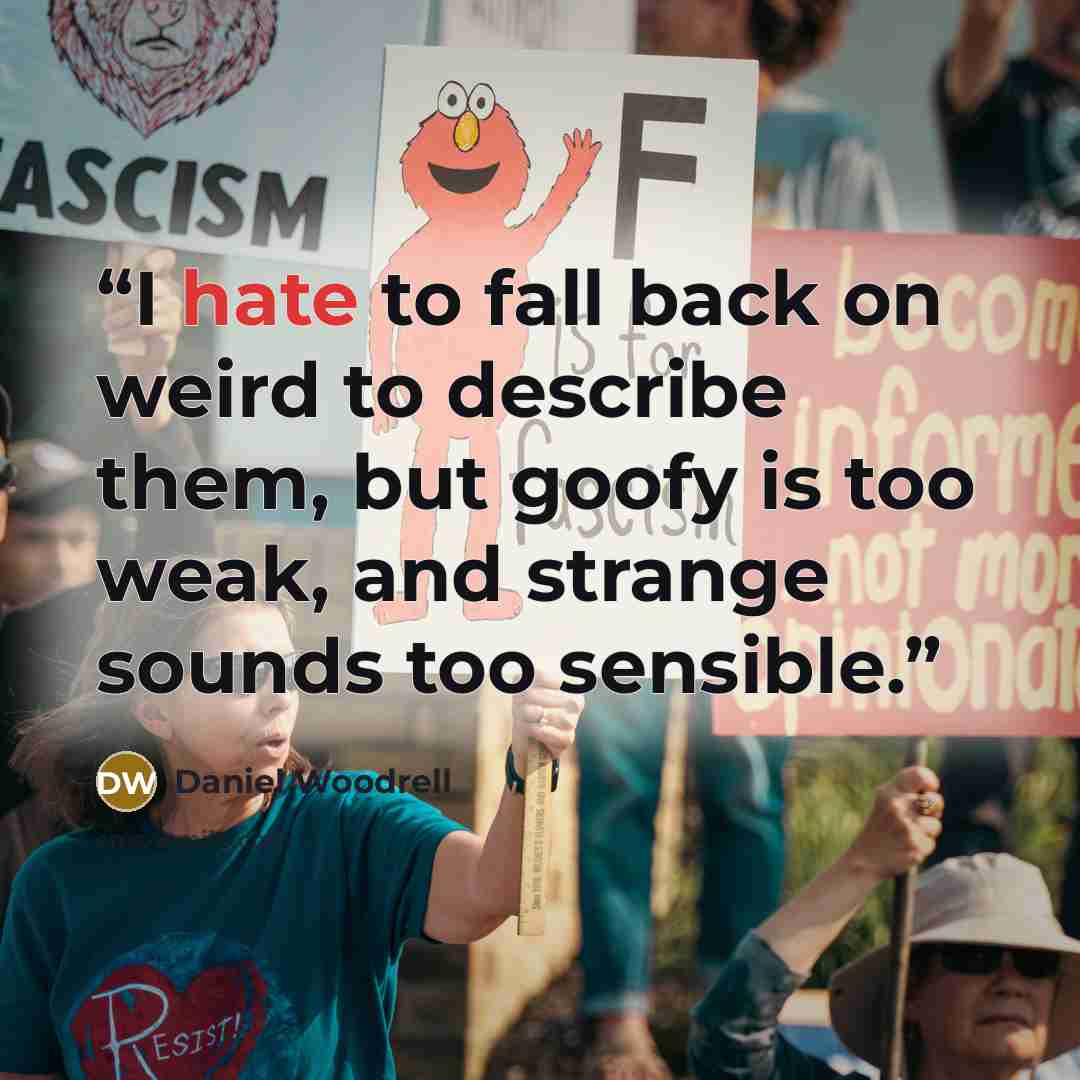 “I hate to fall back on weird to describe them, but goofy is too weak, and strange sounds too sensible.” quote by Daniel Woodrell