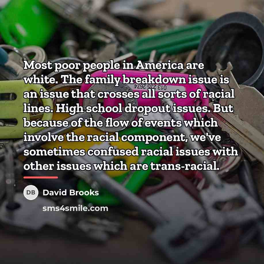 “Most poor people in America are white. The family breakdown…” quote by David Brooks