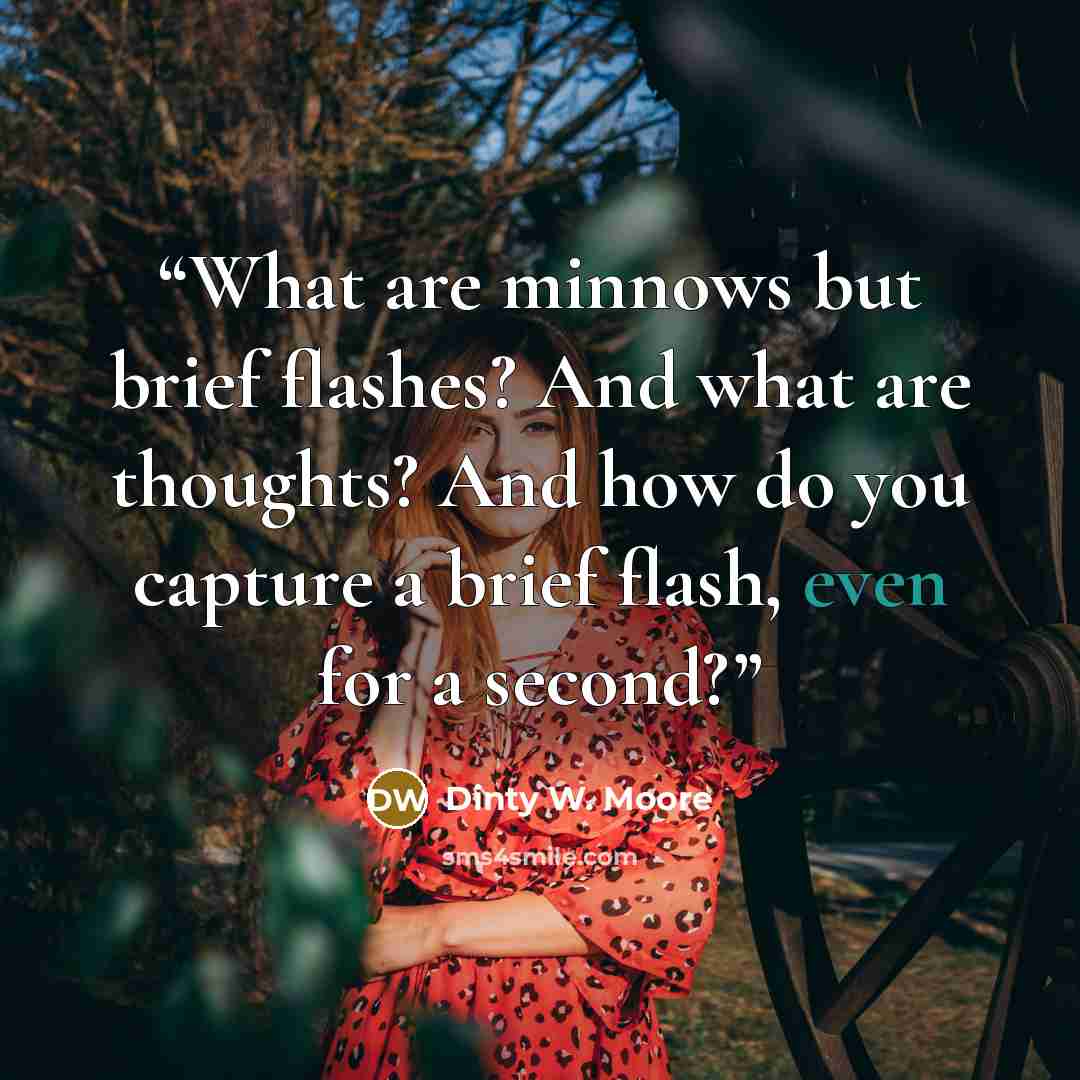 “What are minnows but brief flashes? And what are thoughts? And how do you capture a brief flash, even for a second?” quote by Dinty W. Moore