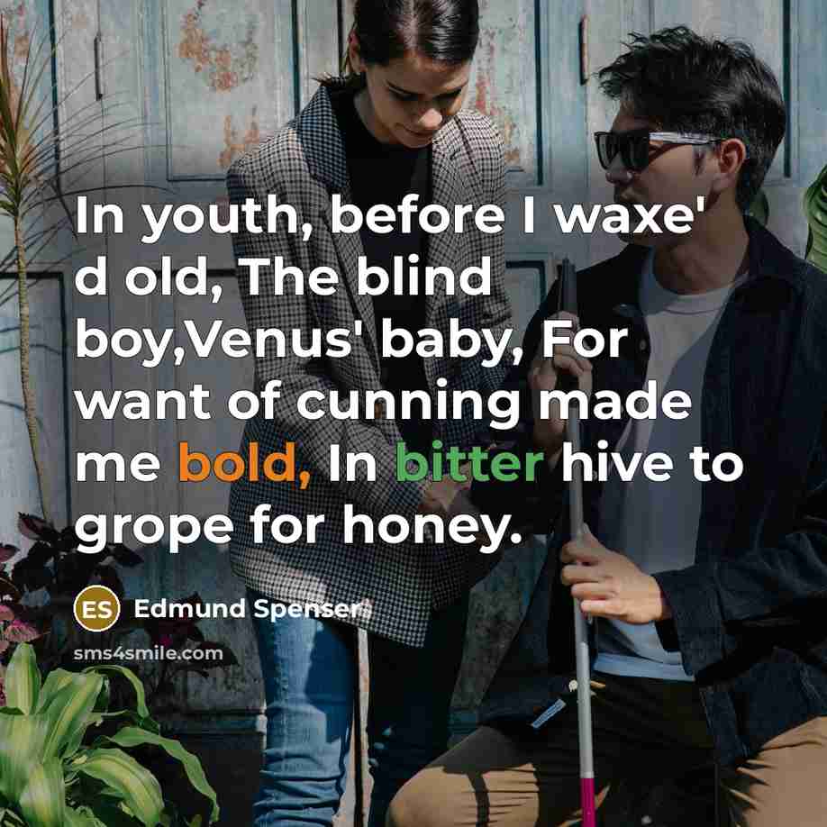 “In youth, before I waxe' d old, The blind boy,Venus'…” quote by Edmund Spenser