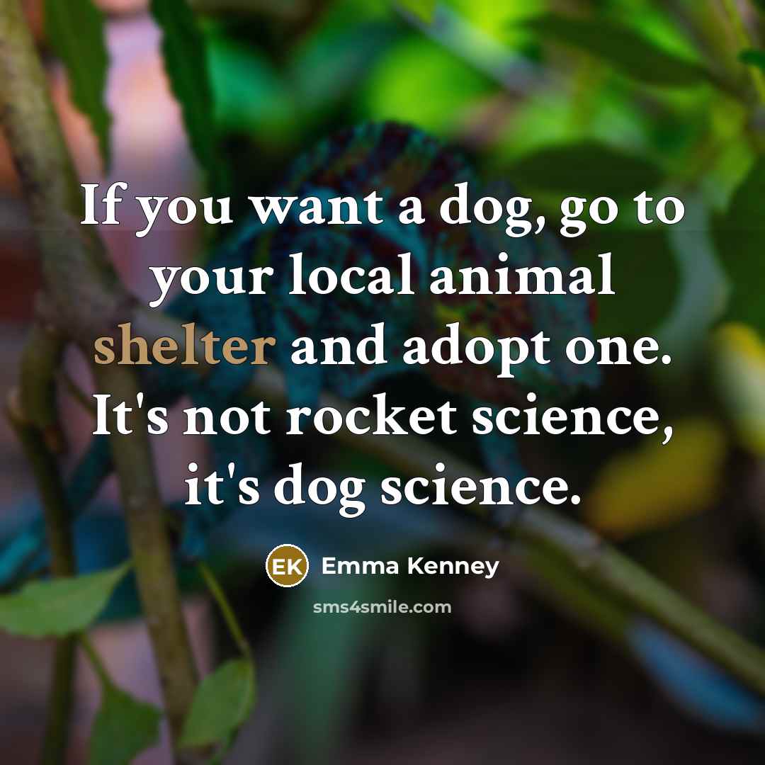 “If you want a dog, go to your local animal…” quote by Emma Kenney