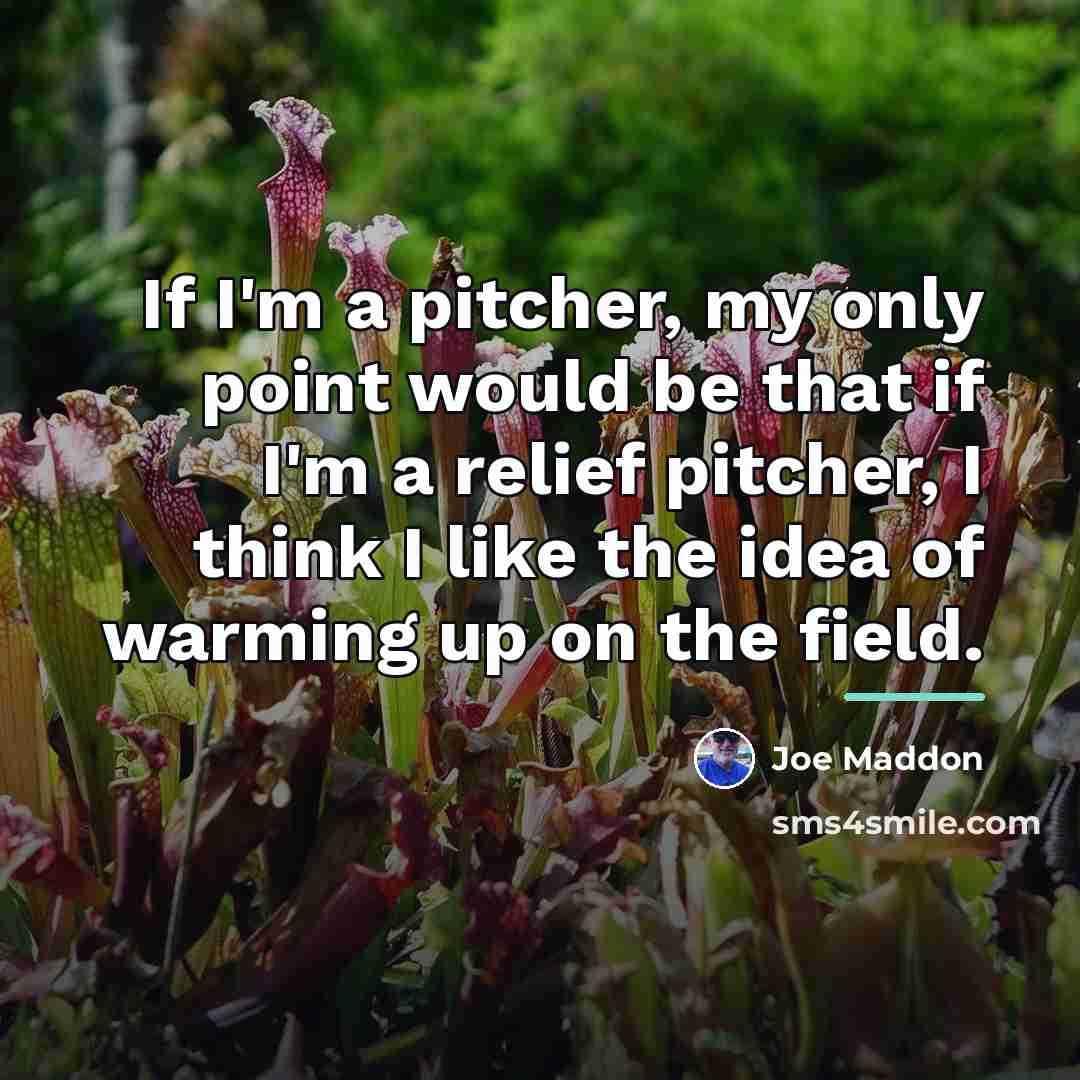 “If I'm a pitcher, my only point would be that…” quote by Joe Maddon