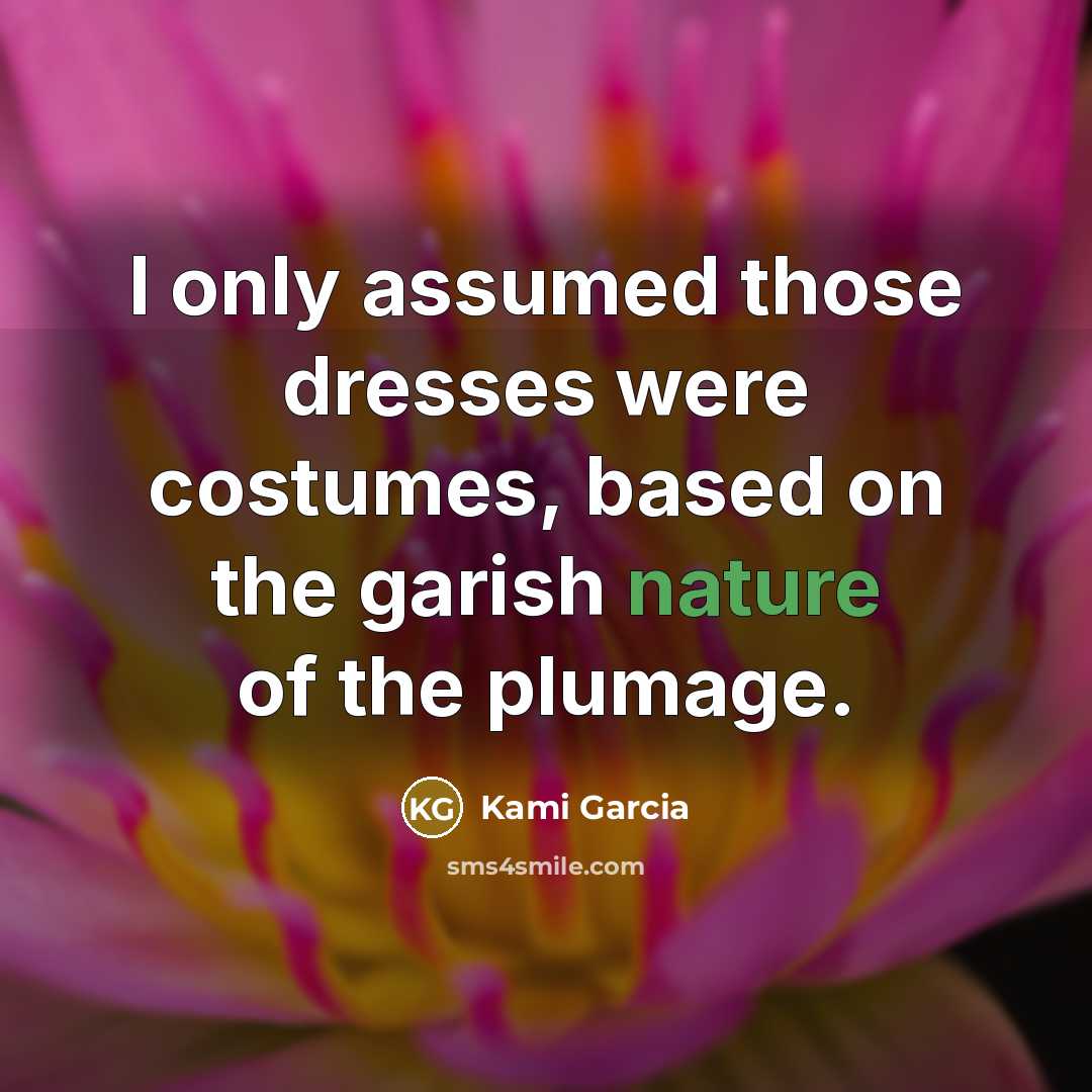 “I only assumed those dresses were costumes, based on the…” quote by Kami Garcia