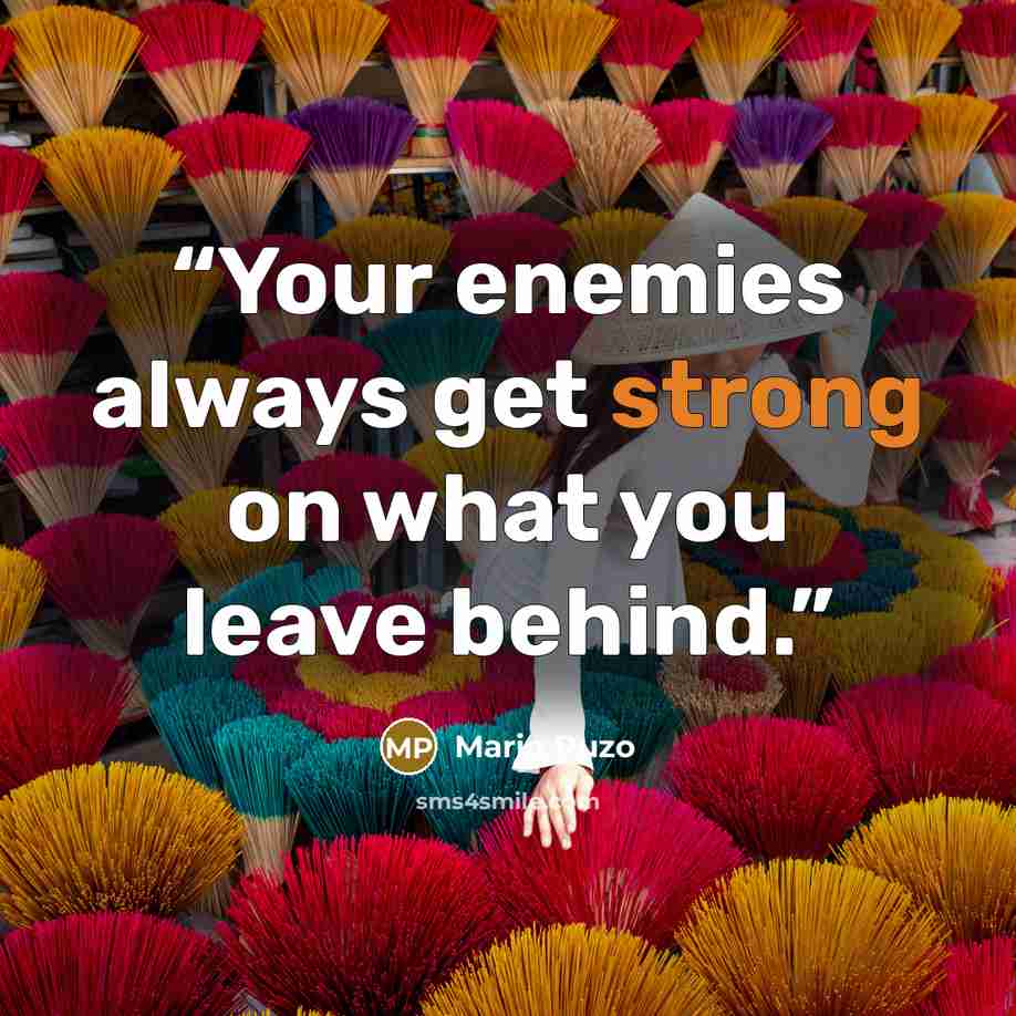 “Your enemies always get strong on what you leave behind.” quote by Mario Puzo