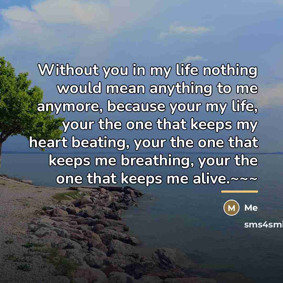 “Without you in my life nothing would mean anything to…” quote by Me
