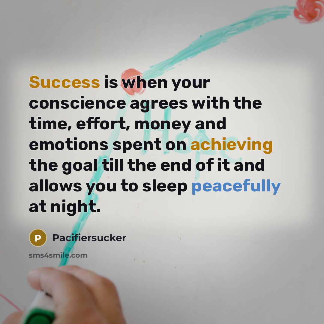 “Success is when your conscience agrees with the time, effort, money and emotions spent on achieving the goal till the end of it and allows you to sleep peacefully at night.” quote by Pacifiersucker