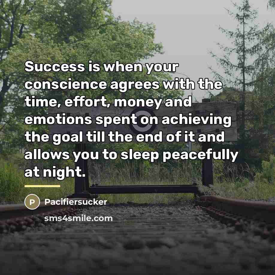 “Success is when your conscience agrees with the time, effort,…” quote by Pacifiersucker