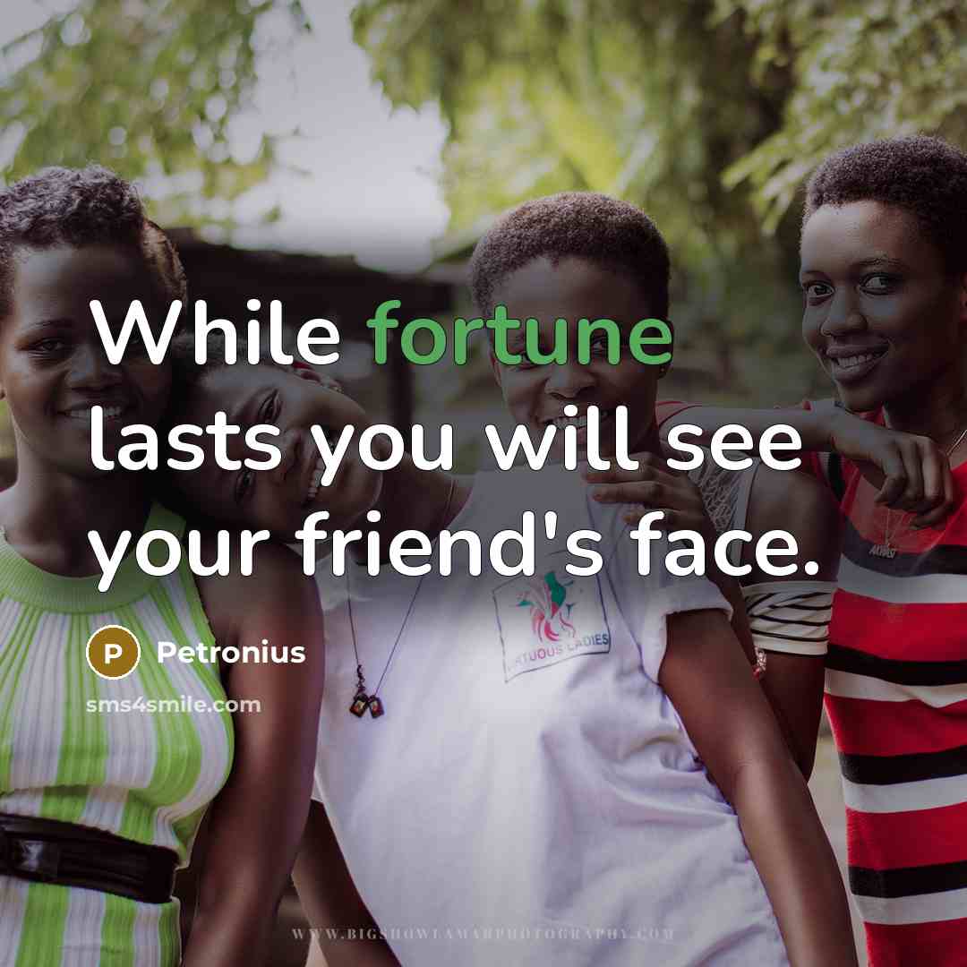 “While fortune lasts you will see your friend's face.” quote by Petronius