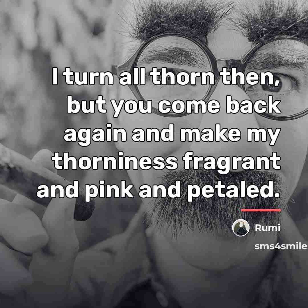 “I turn all thorn then, but you come back again…” quote by Rumi