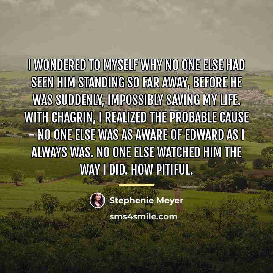 “I wondered to myself why no one else had seen…” quote by Stephenie Meyer