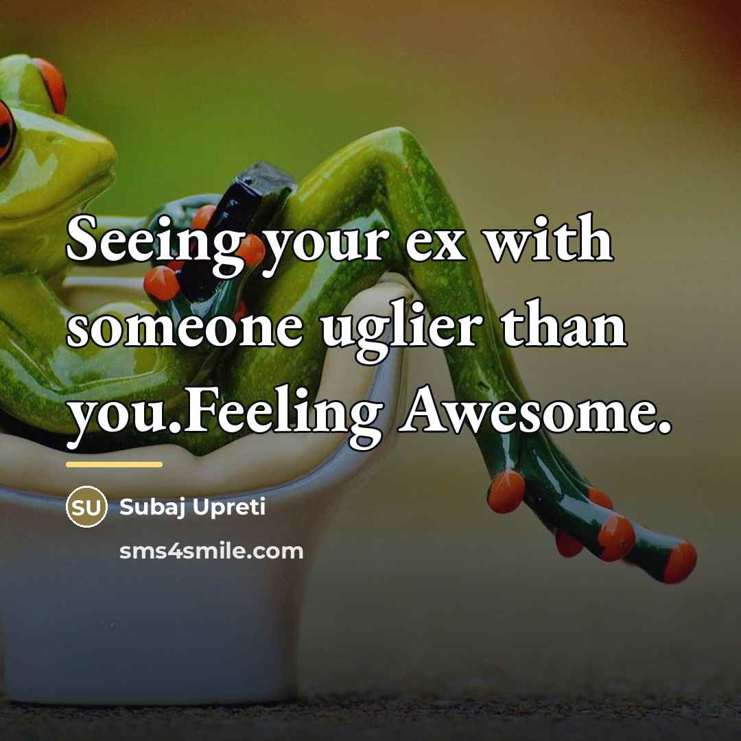 “Seeing your ex with someone uglier than you.Feeling Awesome.…” quote by Subaj Upreti