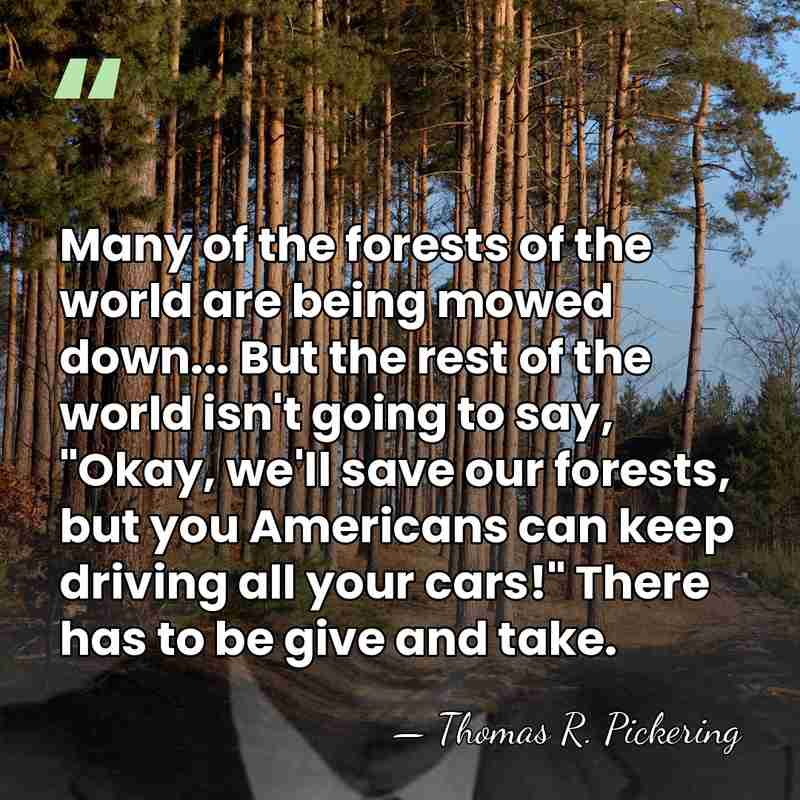 Many of the forests of the world are being mowed down... But&hellip; - Thomas R. Pickering