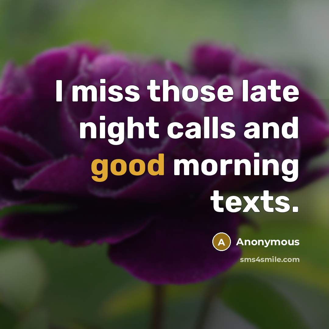“I miss those late night calls and good morning texts.…” quote by Anonymous